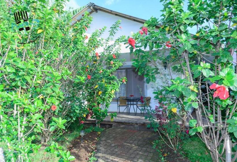 Бунгало Deluxe, Hostal Y Cabañas Aorangi