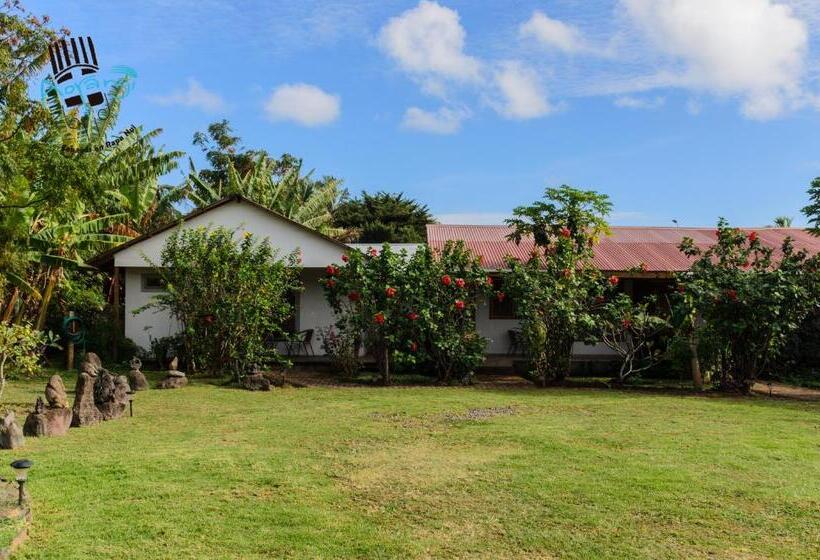 Четырехместный Номер Стандарт Вид на Сад, Hostal Y Cabañas Aorangi