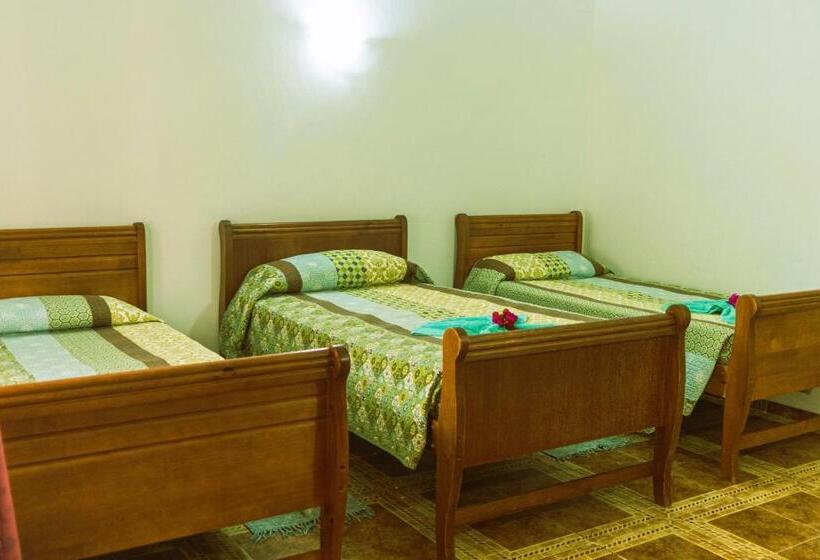 Бунгало Стандарт, Hostal Y Cabañas Aorangi