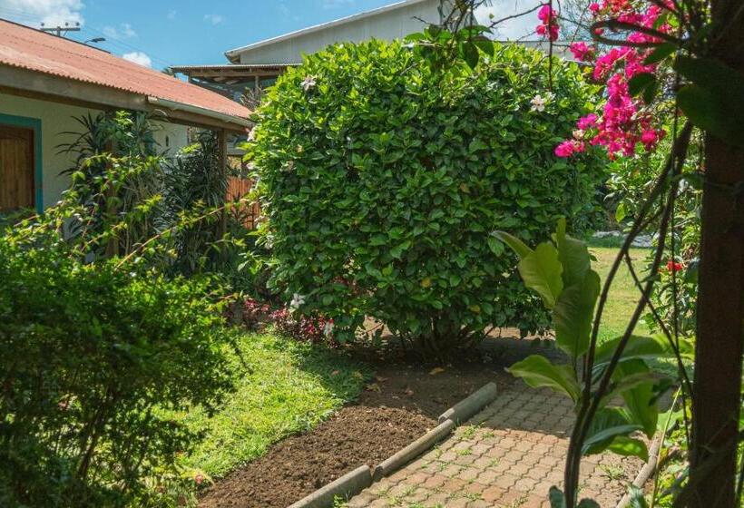 Бунгало Стандарт, Hostal Y Cabañas Aorangi