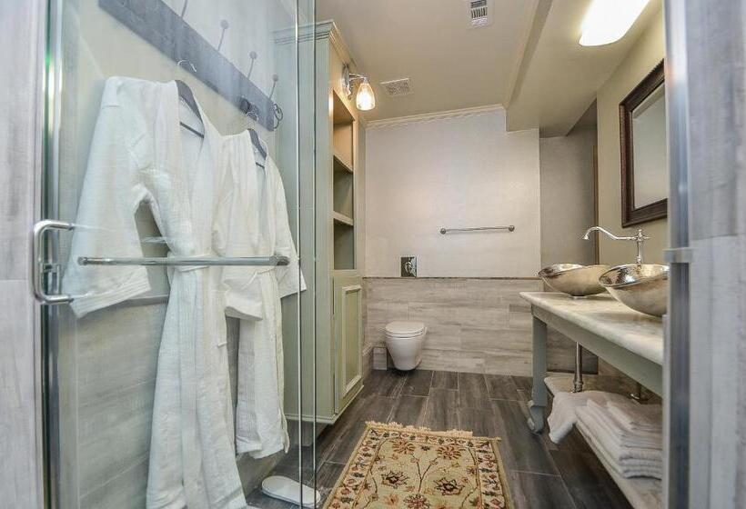 سوییت, Houston Towers, Downtown Med Ctr, Nrg, Adults Only