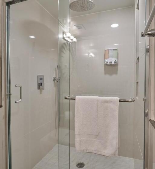 اتاق استاندارد, Houston Towers, Downtown Med Ctr, Nrg, Adults Only