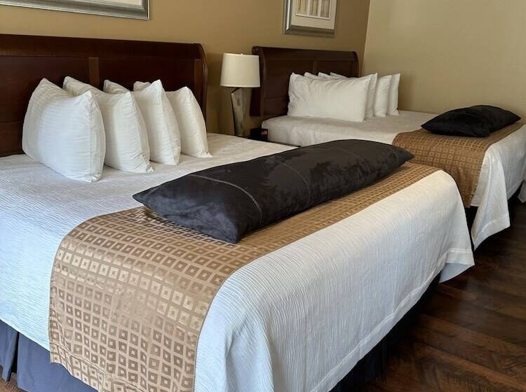 标准间, Abram Inn & Suites