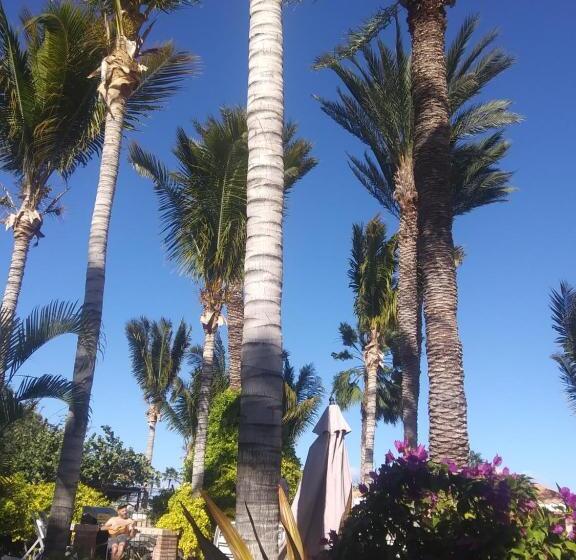 プールビュースイート, Coco Cabañas And Casitas Vacation Rentals