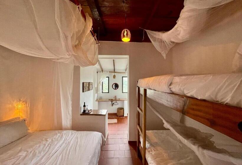 스탠다드 룸, Mundo Nuevo Eco Lodge