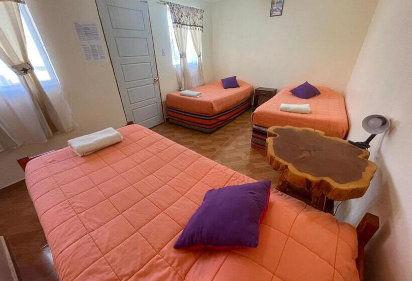 Номер Стандарт Трехместный, Hostal El Amigo Lucho