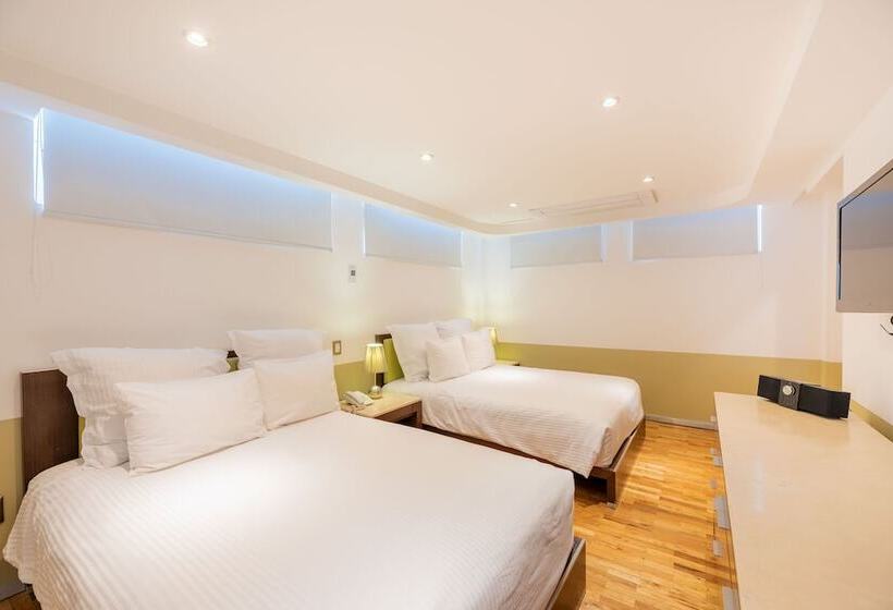 １ベッドルームアパートメント, Grand Chapultepec Residencial