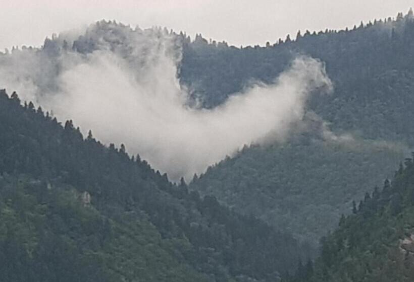 اتاق خانوادگی با چشم‌انداز کوه, Zeiko S Guesthouse