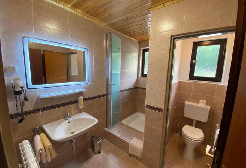 اتاق استاندارد, Pension Waldschenke Am Wörthersee