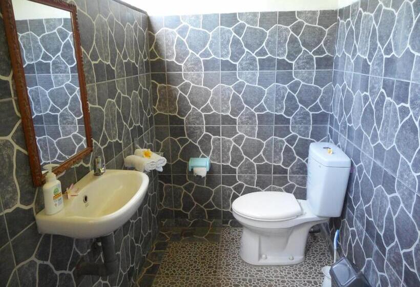 디럭스 룸, Cegeng Lestari Guest House
