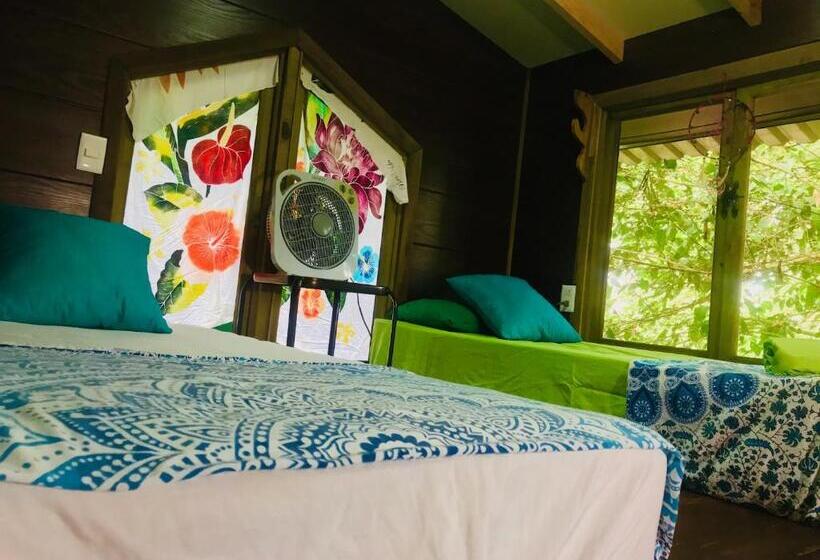 استودیو استاندارد با چشم‌انداز باغ, Guest House Pura Vida