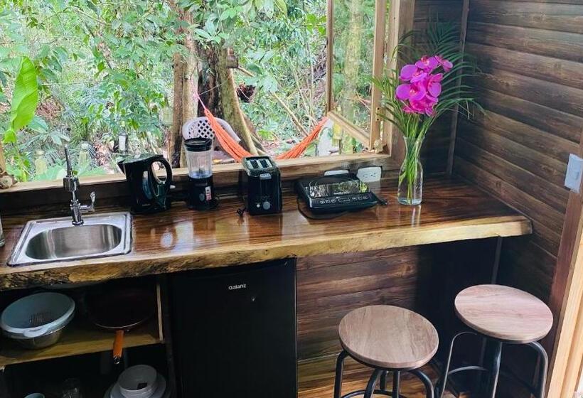 استودیوی لوکس, Guest House Pura Vida