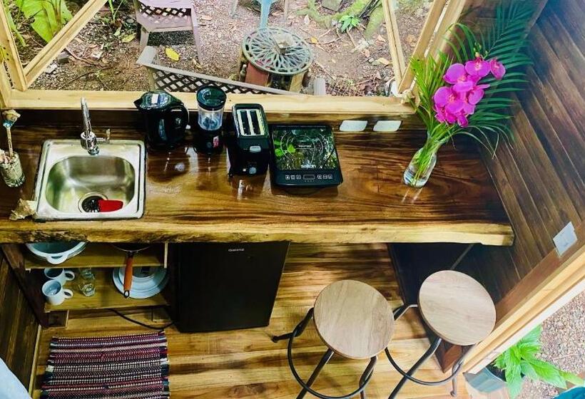 استودیوی لوکس, Guest House Pura Vida