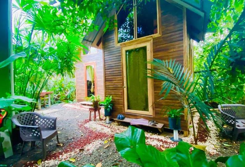بانگلوی استاندارد, Guest House Pura Vida