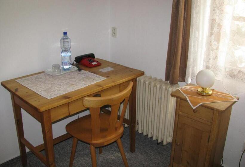 اتاق استاندارد یک نفره, Penzion 102