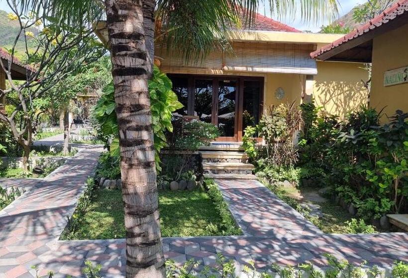 풀장 전망 디럭스 룸, Nalini Resort