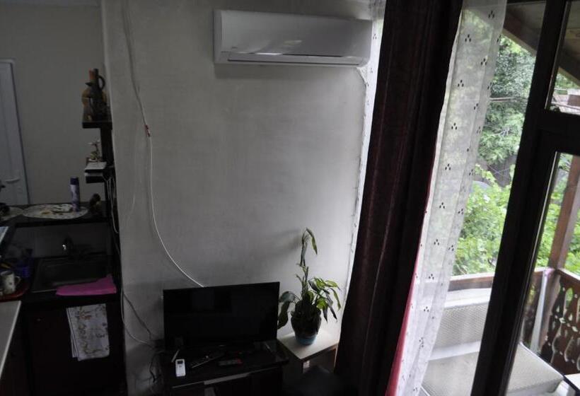 اتاق استاندارد, Guesthouse Dariali