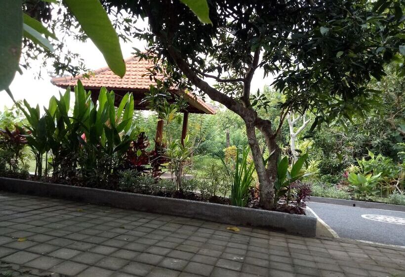 豪华房间, Mulia Home Stay