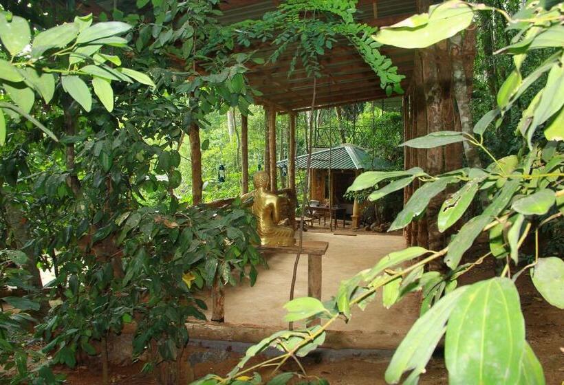 اتاق استاندارد, Kandy Eco Retreat