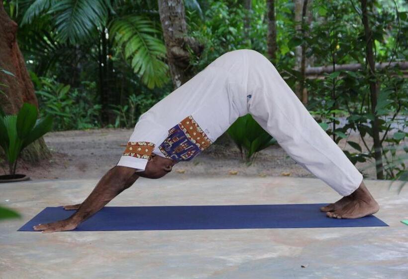 اتاق استاندارد, Kandy Eco Retreat