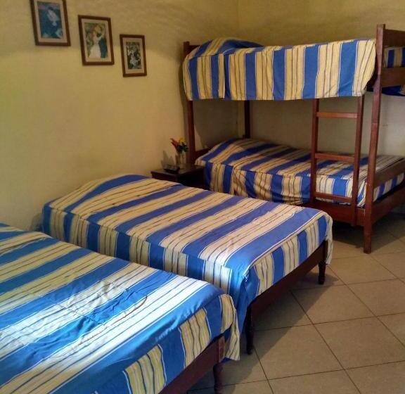 اتاق استاندارد چهار تخته, Huanchaco Hostal