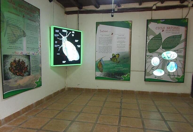 اتاق استاندارد, Hostal Pablo S House