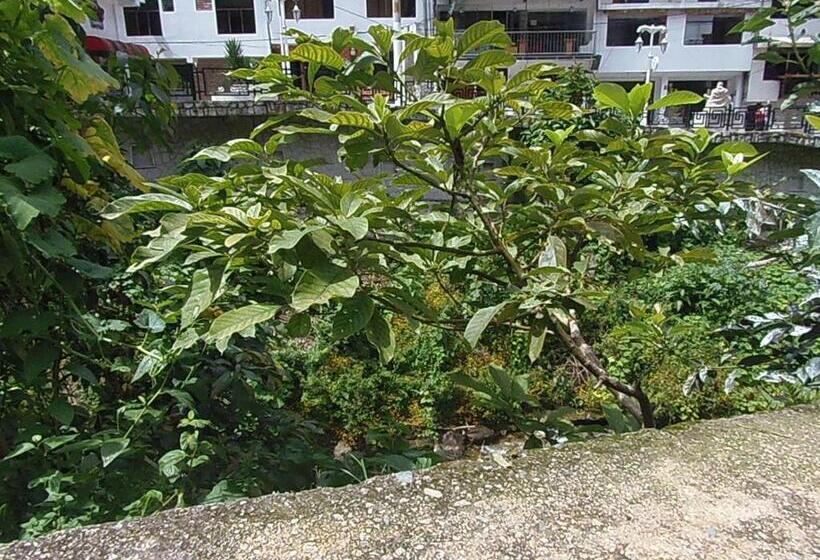 اتاق استاندارد, Hostal Pablo S House