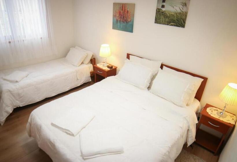 １ベッドルームアパートメント, Hostal Cordillera