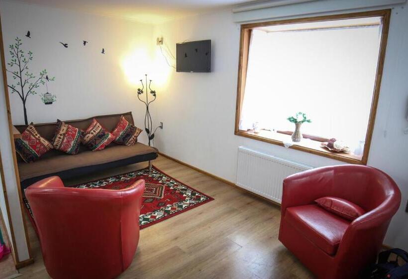 ２ベッドルームアパートメント, Hostal Cordillera