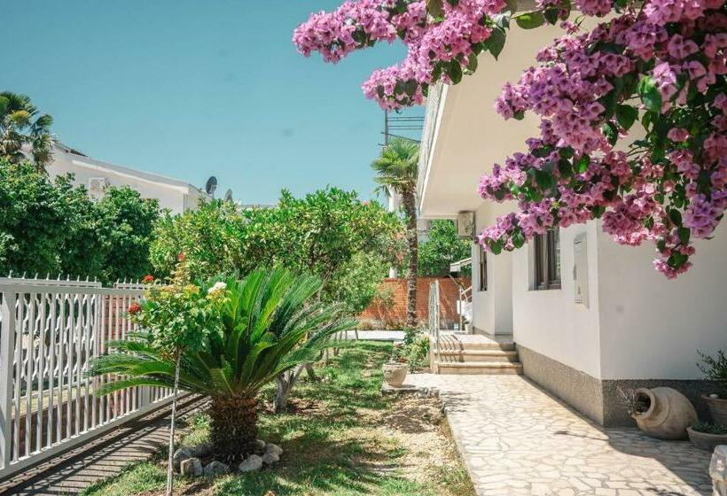 استودیو استاندارد با تراس, Vila Adriatik