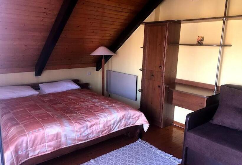 اتاق استاندارد با بالکن, Prutets Guest House