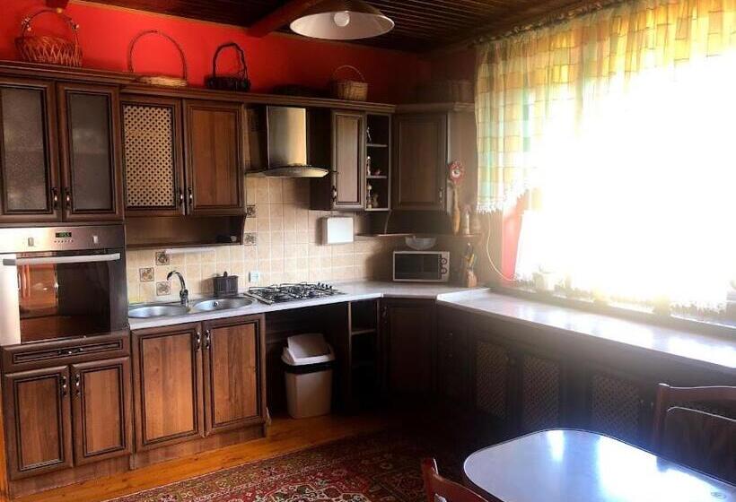 ویلای 1 خوابه, Prutets Guest House