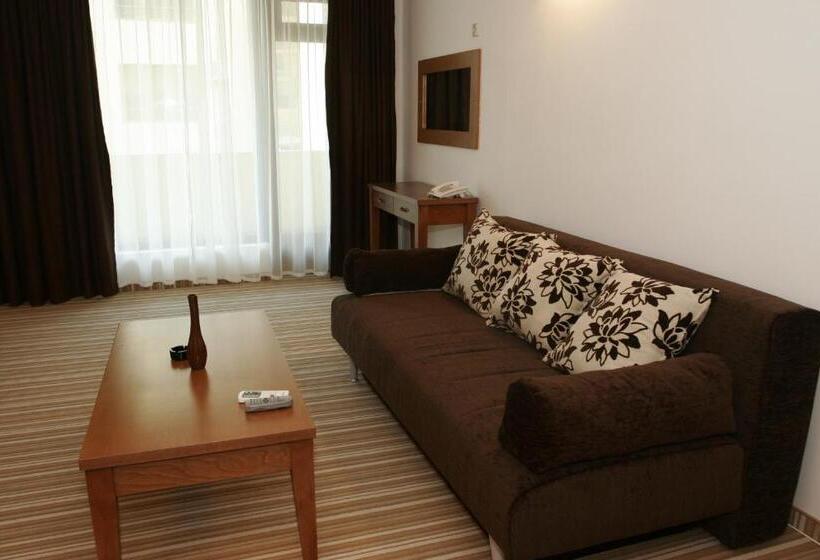 إستديو عائلى, Villa Valeev