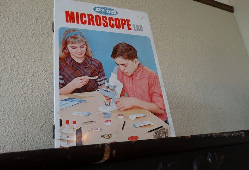 جناح كومفورت, Davie School Inn