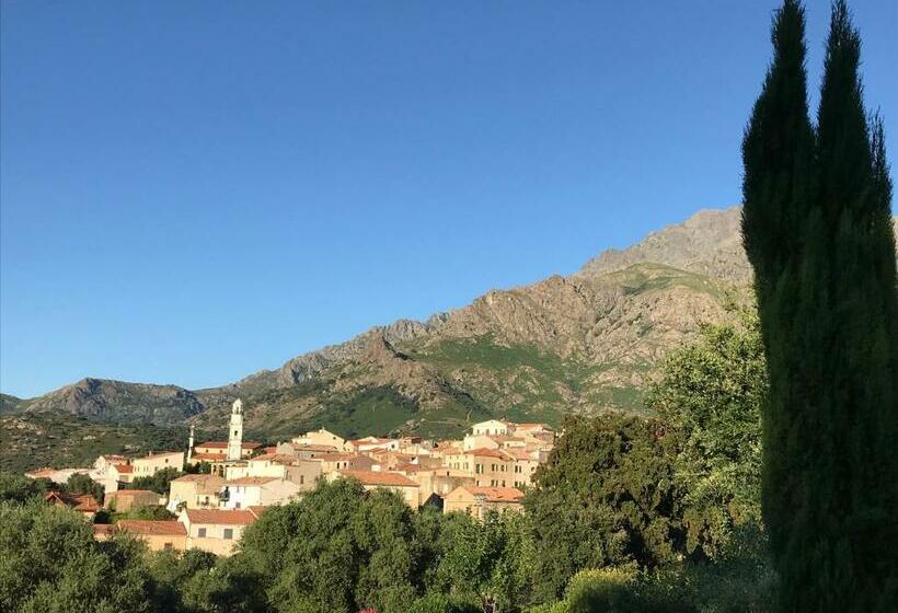 Номер Стандарт, Au Pied Des Oliviers