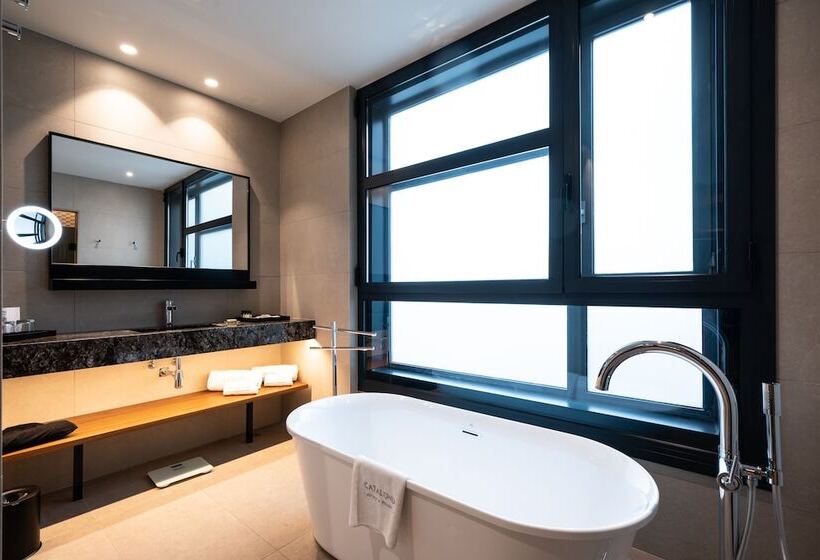 Номер Superior с Террасой, Catalonia Barcelona Plaza