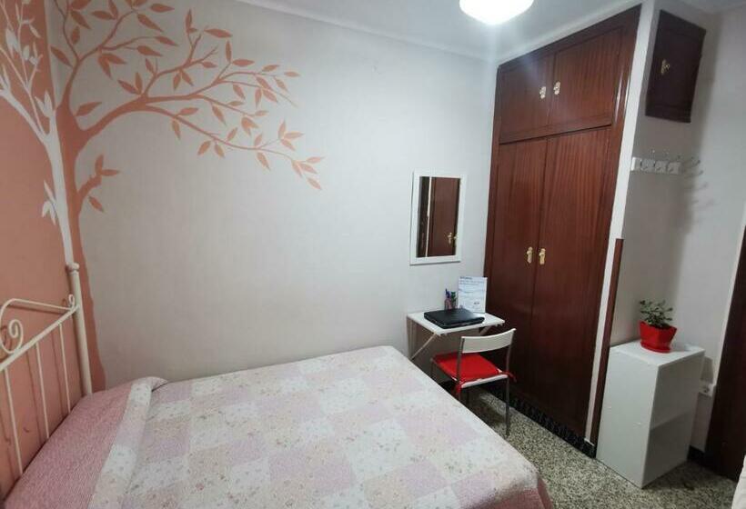 스탠다드 싱글 룸, Hostal Senero