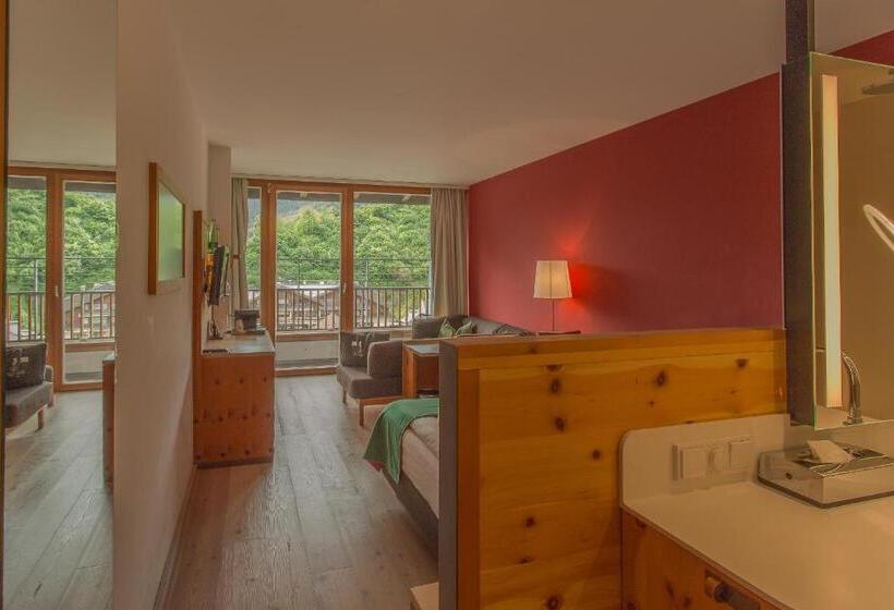 Номер Стандарт Вид на Горы, Spa Hotel Erzherzog Johann