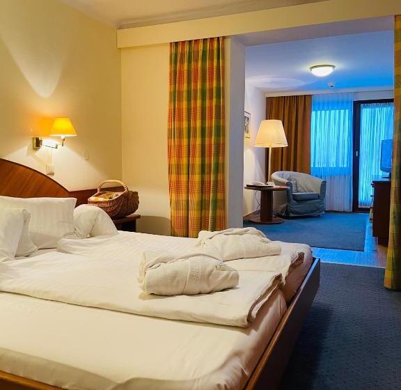 Полулюкс Одноместный с Террасой, Seehotel Ressmann