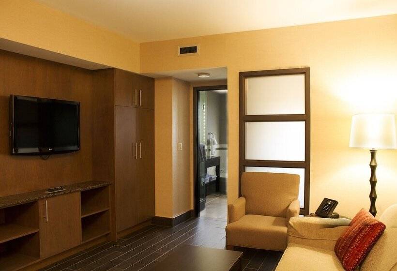 스위트, Holiday Inn Hotel & Suites St.catharines-niagara, An Ihg