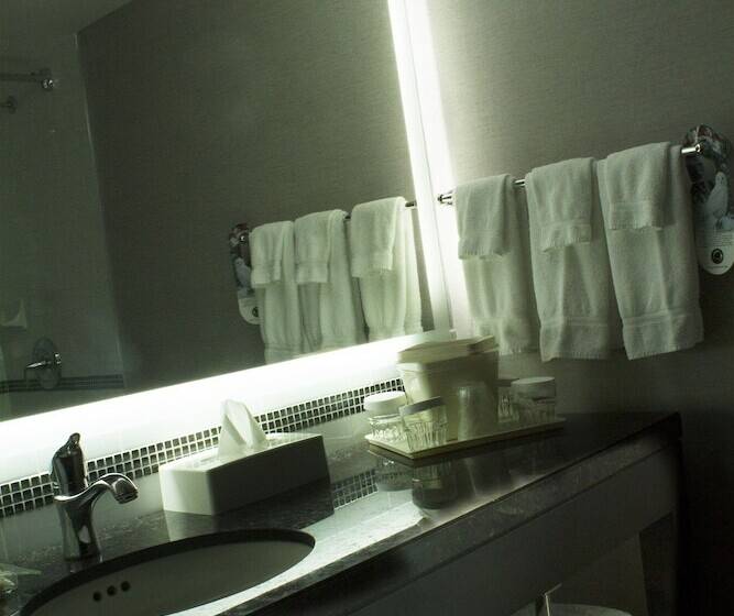 스위트, Holiday Inn Hotel & Suites St.catharines-niagara, An Ihg