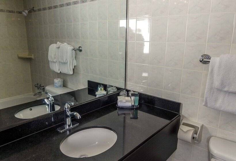 סוויטה, Century Plaza