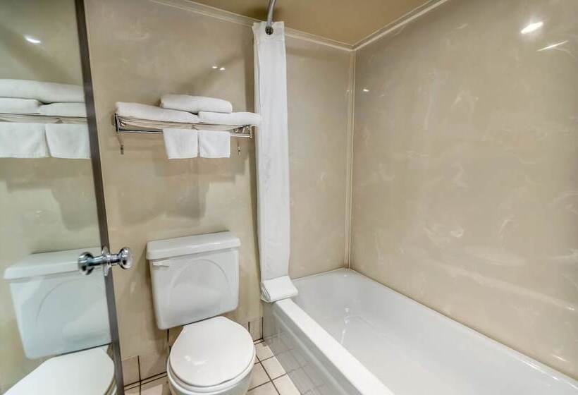 Номер Стандарт 2 Двуспальные Кровати, Seven Oaks Hotel Regina