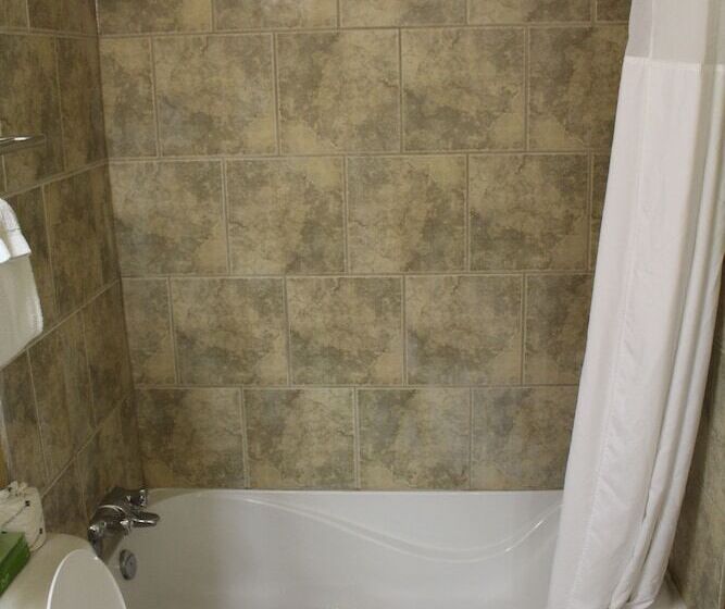 デラックスルーム, Travelodge By Wyndham Swift Current