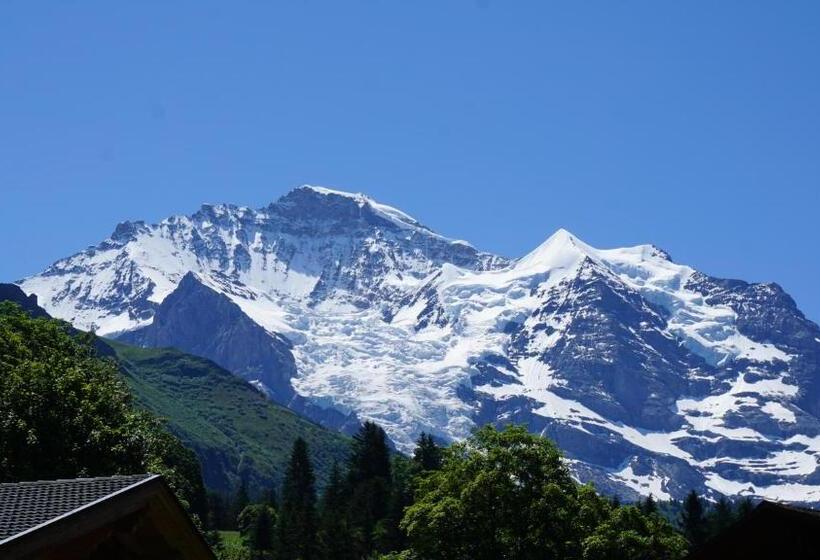 کلبه ییلاقی, Alpenkräuter Hotel Bären