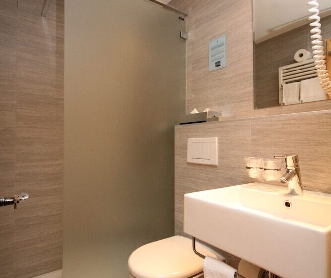 Номер Стандарт, Hôtel Alpina   Swiss Ski & Bike Lodge Grimentz