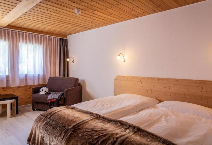 Номер Стандарт, Hôtel Alpina   Swiss Ski & Bike Lodge Grimentz