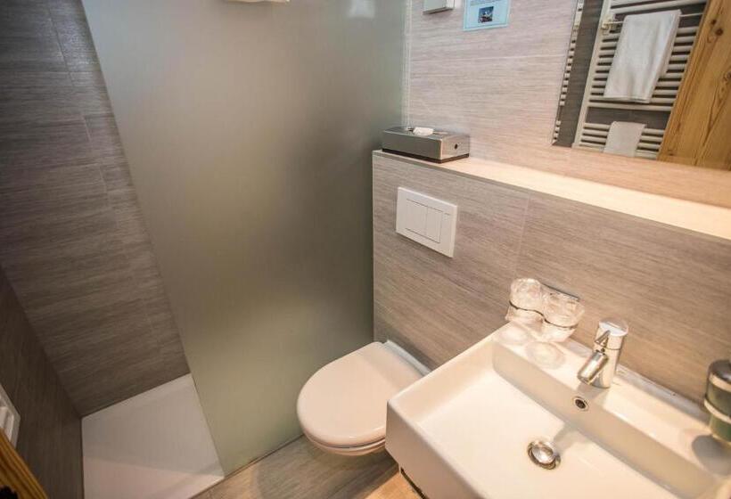 Номер Superior, Hôtel Alpina   Swiss Ski & Bike Lodge Grimentz