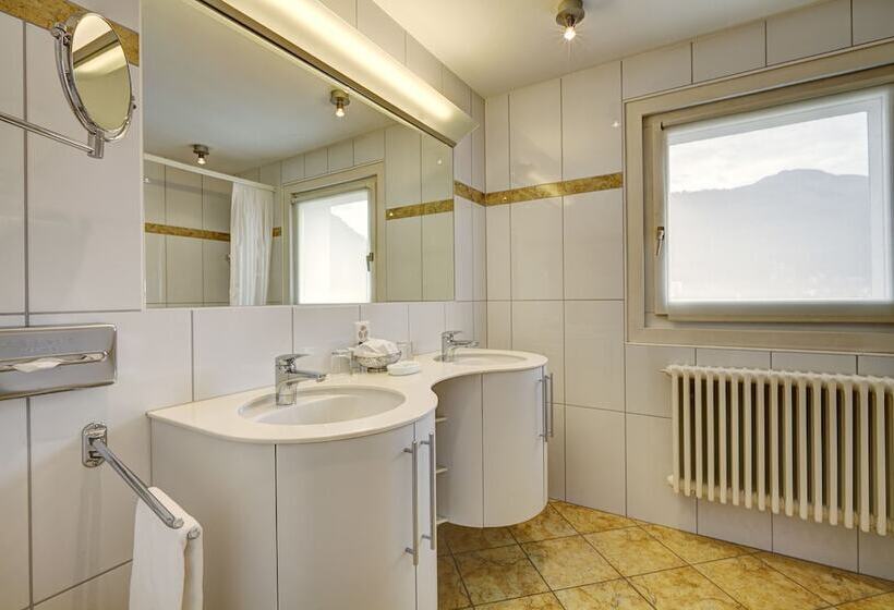 اتاق استاندارد, Meierhof
