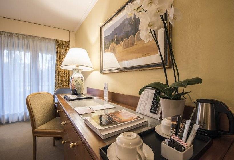 اتاق استاندارد با چشم‌انداز, Royal Plaza Montreux